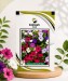 Petunia NC Draft Mix - Image 1